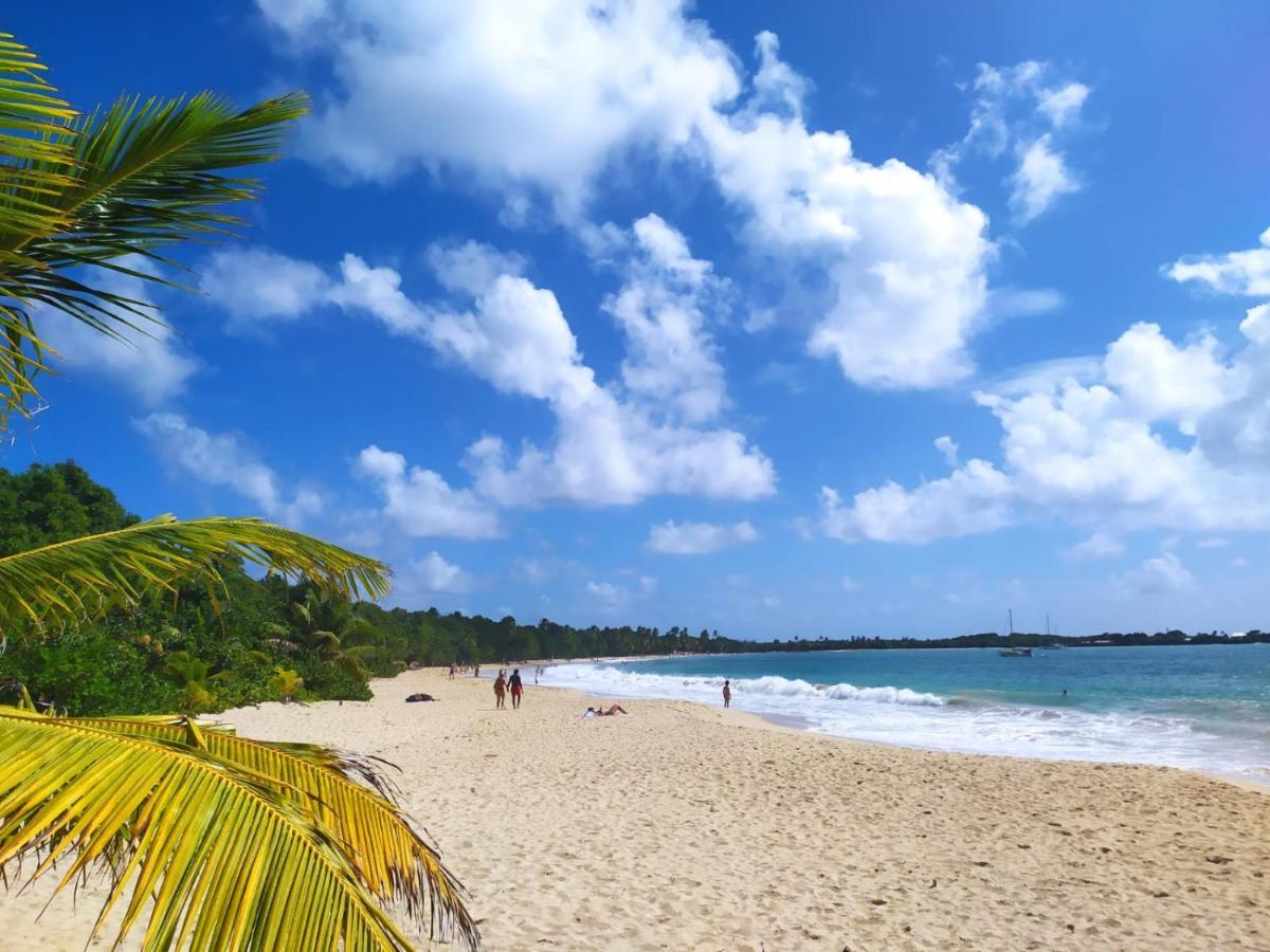 Imagine972 Martinique Bateau Hotel A Quai Le Marin 3 Cabines 3 Salles De Bains 6 Pers Maxi Zewnętrze zdjęcie