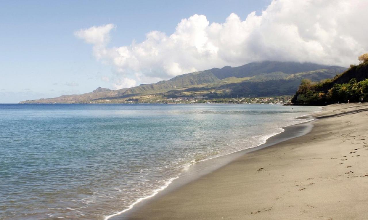 Imagine972 Martinique Bateau Hotel A Quai Le Marin 3 Cabines 3 Salles De Bains 6 Pers Maxi Zewnętrze zdjęcie